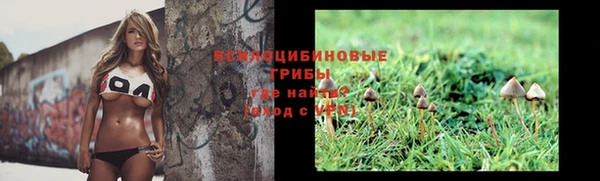 гидропоника Кулебаки