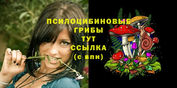 гидропоника Кулебаки