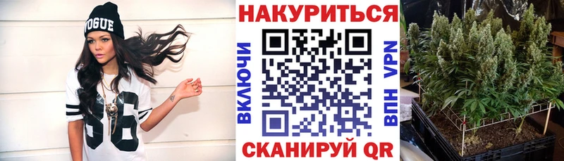 Канабис Ganja Ликино-Дулёво